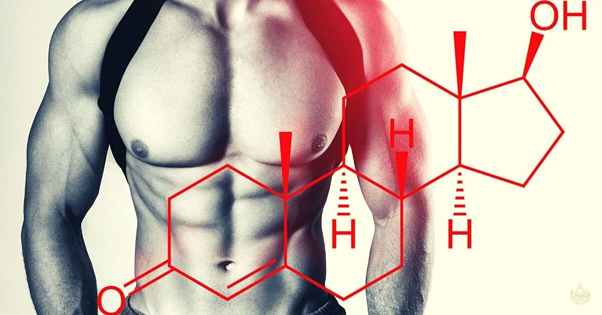 NoFap and Testosterone Boost Benefit: Does it actaully increase T levels?