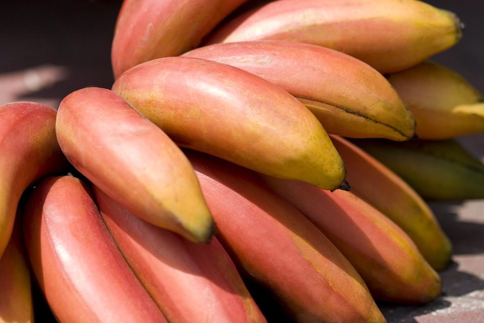 The Shocking Reason You Can't Stop Masturbating - And How to Overcome It