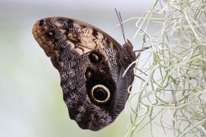 The Shocking Truth About Masturbation Addiction - Is it Real or Just a Myth? The Shocking Truth About Why You Can't Stop Masturbating - And How to Break Free