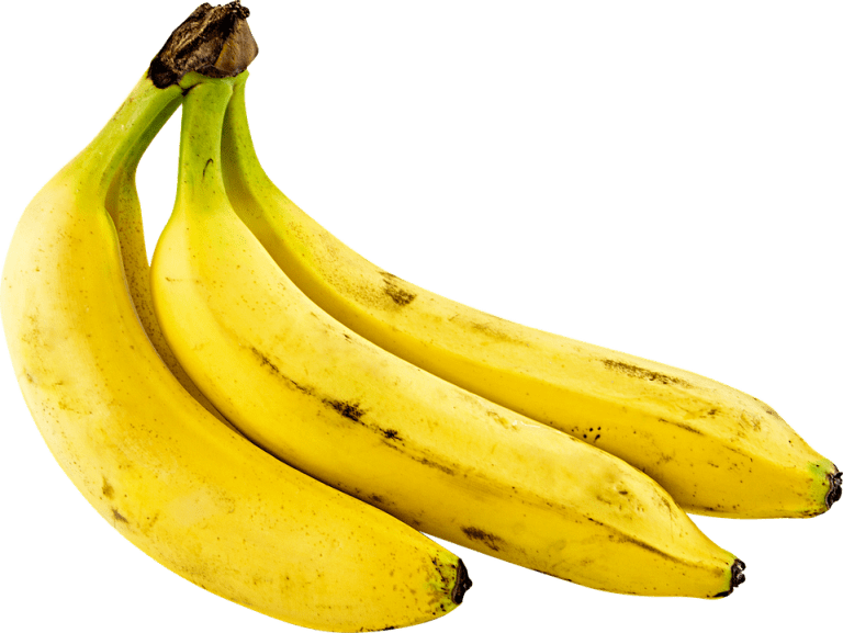 The Shocking Truth About What Happens When You Stop Masturbating