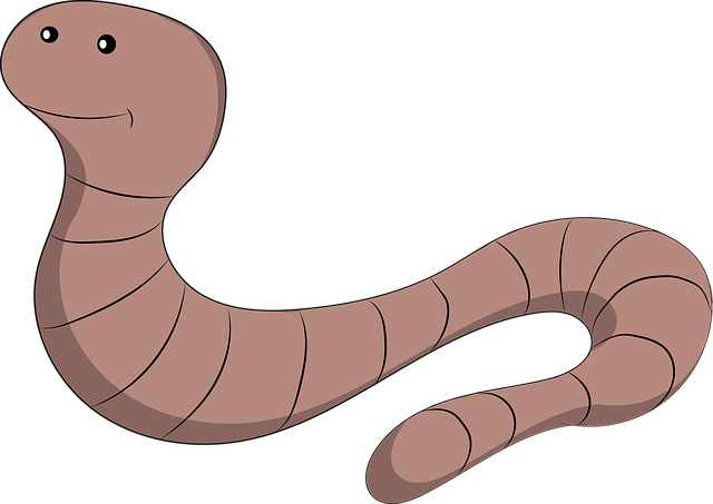 What Does It Mean to Dream with Maggots? Maggots in Dreams Deciphered!