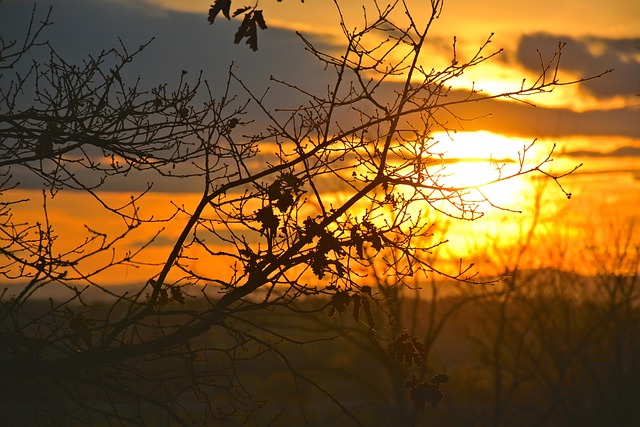 Unraveling the Mystery: ⁤Understanding the Science ‍behind Lyric Dreams