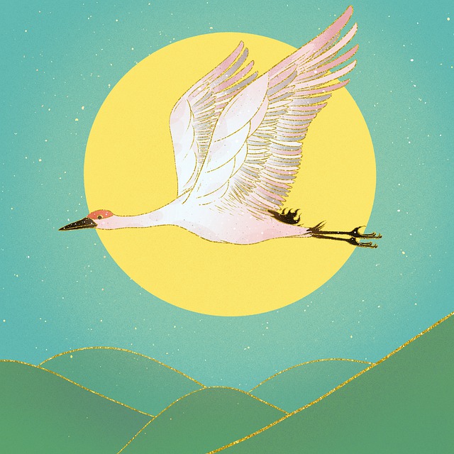 Take Flight in Your Dreams: Decoding Flying Dreams 5 Understanding the Psychological and Emotional Implications of Flying Dreams