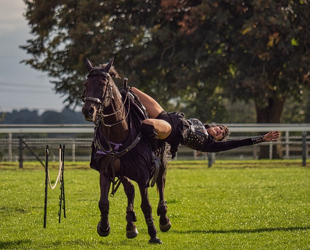 2. Tackling Training:​ Essential Tips ⁣to Level Up⁢ Your Horse Skills in BDO