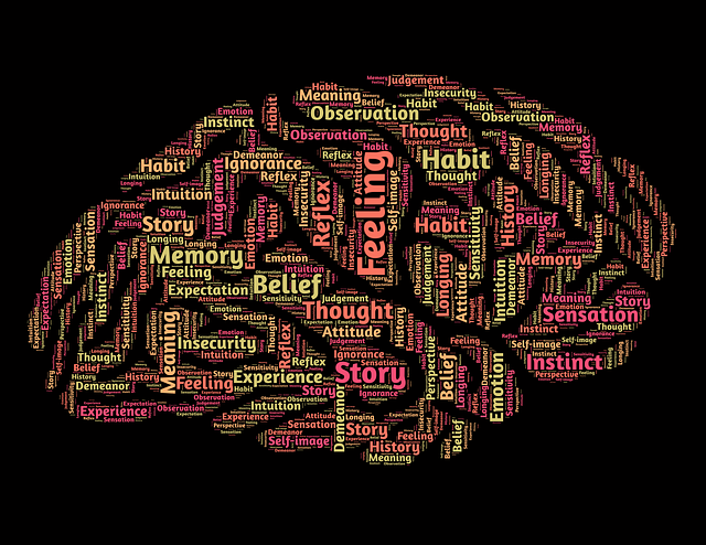 The Psychology Behind Turning Dreams into Profitable Ventures
