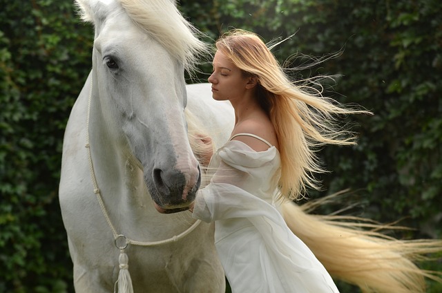 2.​ Mastering⁤ the Art of Training: Key⁤ Strategies for Efficient Horse Taming in‌ Black Desert Online