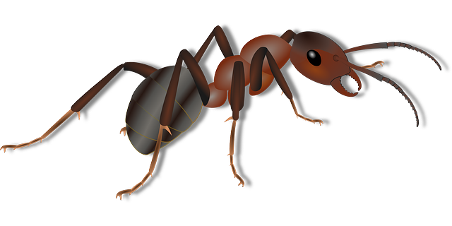Understanding ⁤the Impact ‍of Ant Dreams: Unveiling Subconscious​ Desire and Patience