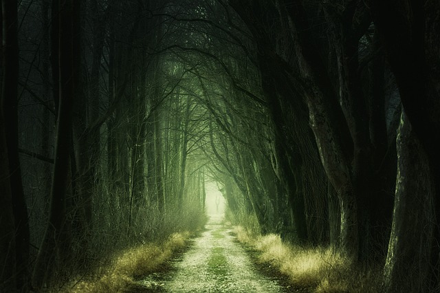 Tips for Managing Fear and ​Anxiety Following a Dream of Having Cancer