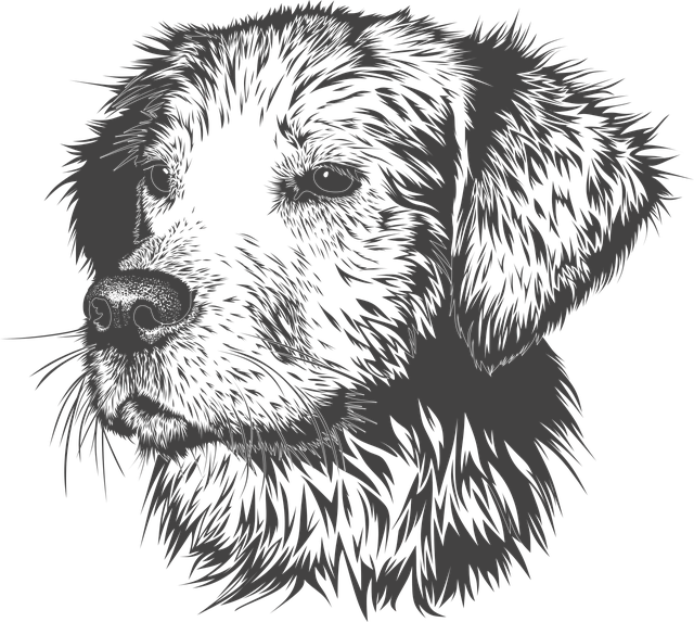 Dispelling Myths and ⁣Misconceptions About ‍Dogs' Wet Dreams