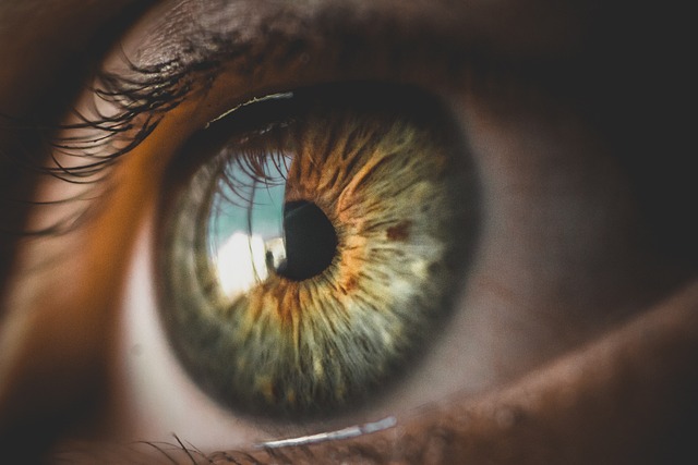 From Vision to Profit: Effective Techniques for Monetizing Dreams