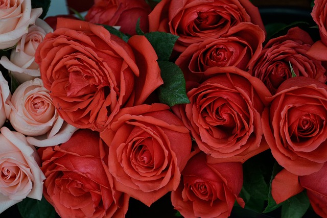 - Reveling in‌ the Delicate Artistry: An In-depth Look at the Visuals
