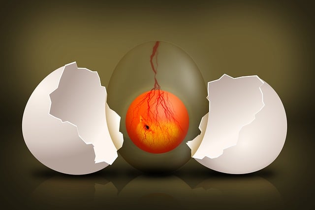 Interpreting ‍the Different Contexts of Egg Dreams