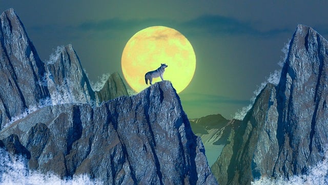 Decoding the Canine Connection: Exploring the Deeper​ Meanings in ‌Coyote‌ Dreams