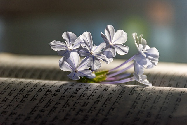 Unveiling the‌ Artistic Elements: A​ Deeper‍ Analysis of Chapter ⁢One