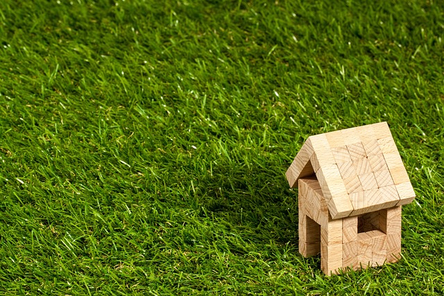 Finding Your Dream Home: Real Estate Insights
