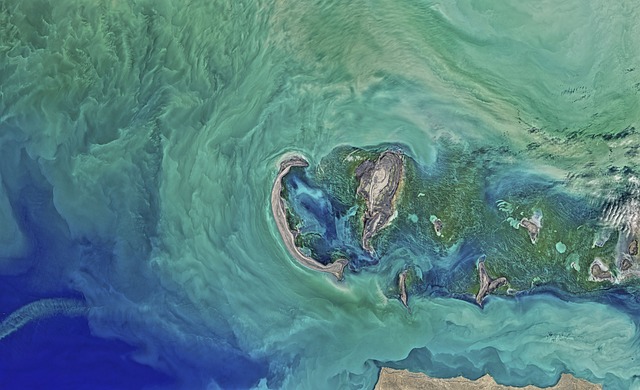 Far from Caspian: The Dream of You