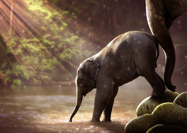 Decoding ‍Elephant Symbolism: A Closer⁣ Look at‌ the Various Interpretations