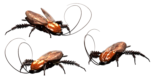 Exploring the Multifaceted Meanings of Roaches in Dream Interpretation