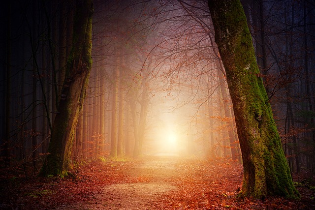 Interpreting the Emotional Depth: An Analysis​ of the Mood and Vibe in 