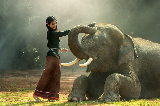 The Majestic Elephant: Exploring the ⁢Symbolic ⁣Meaning‍ in Dream Interpretation