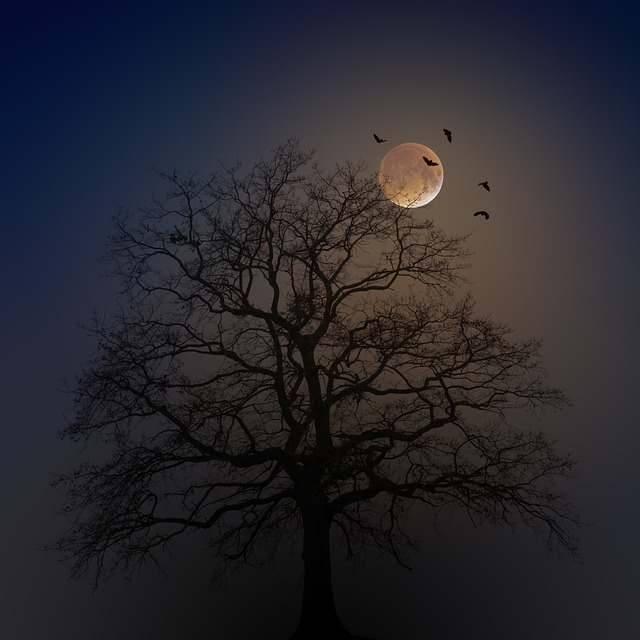 Exploring the Connection Between Bats and the Unconscious Mind
