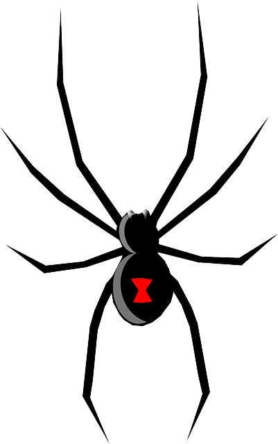 Unveiling the Dark Symbolism: What Black​ Widow Dreams Can Signify
