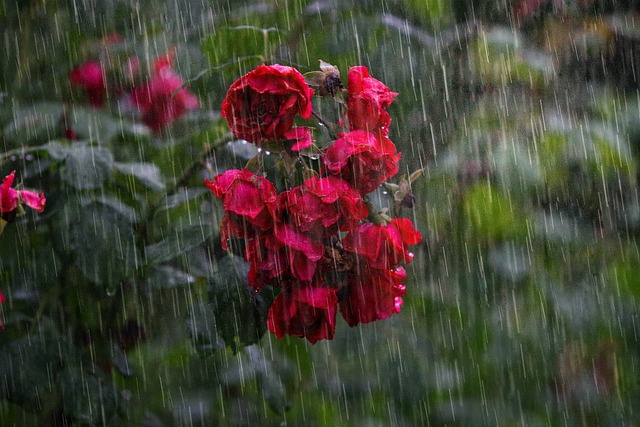 What Does Crying Mean in a Dream: Emotions in Dreamscapes 5 4. The Power of Tears in Dreams: How Crying Unveils Subconscious Thoughts and Feelings