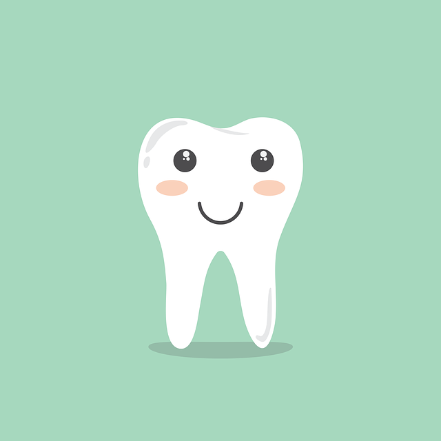 Dental Dreams: What Insurance Do They Accept?