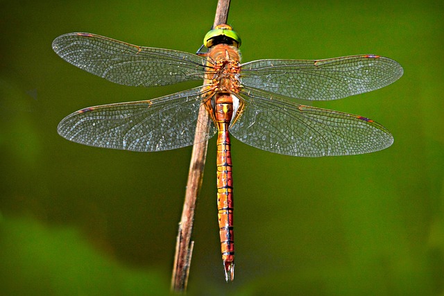 The Power of Lucid Dreaming: Take Control of Your Nightmares