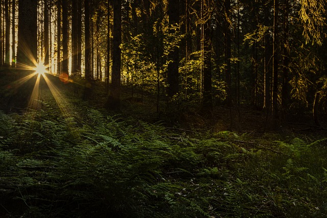 Embracing Your Shadow Self: Exploring the Dark Side in Dreams of ⁢Witches