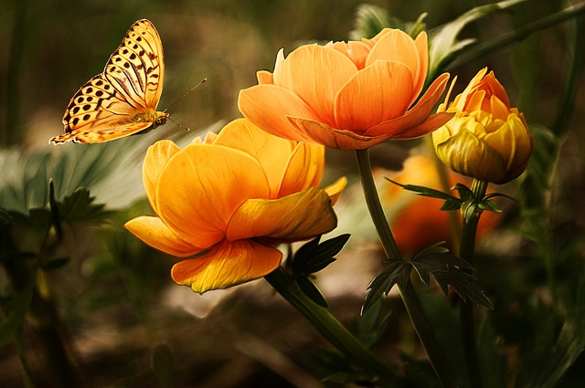Insect Dreams: Diverse Symbolism and ⁤Interpretations​ Await in Dream Analysis