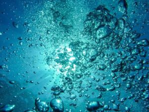 Diving into the Deep End: Swimming Pool Dreams Explained
