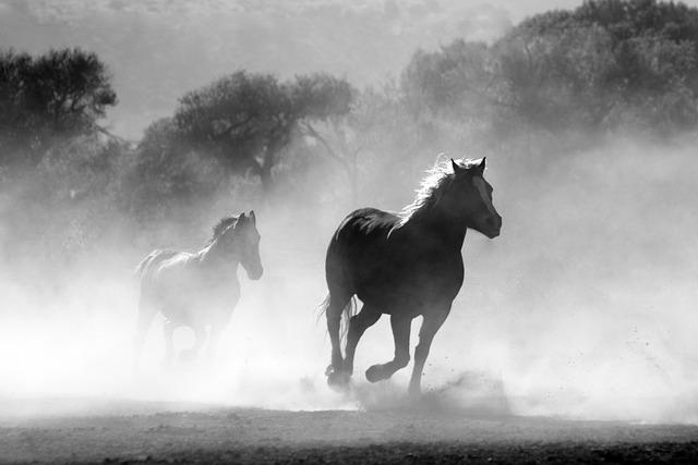 Unveiling ‌the Mystery of‌ Equine Dreams