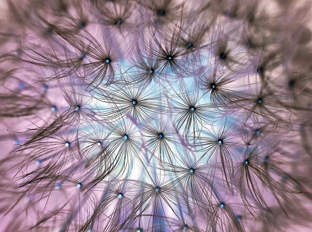 Awakening the Mind: ⁣Harnessing Dream Predators ‍for Personal Growth and Transformation