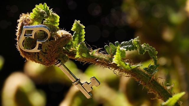 What Does It Mean to Dream of Dirty Muddy Water? Dive into the Muddy Secrets! 5 Tips for Deciphering the Hidden Messages in Dreams of Muddy Water
