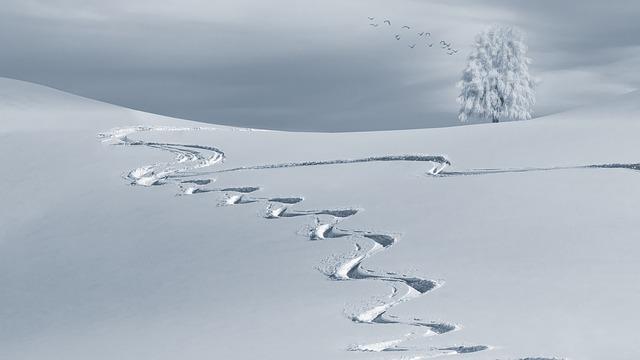 1. The Fascinating World‍ of Snow⁤ Dreams: Unveiling the ‌Enigma