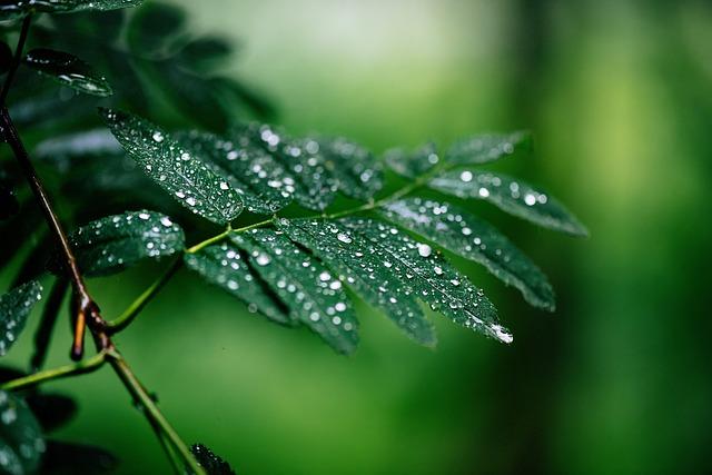 4. Navigating Stormy ⁣Waters: Interpreting​ the Challenges⁤ and Resilience Represented by Rainfall in Dreams