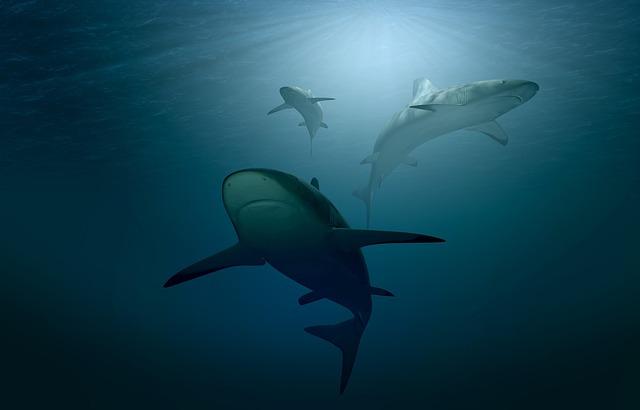 Dive into⁤ a World of ‍Endless Possibilities