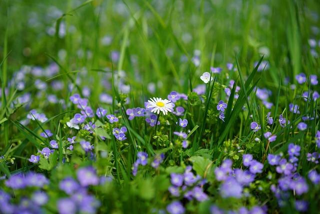 Shot in a Dream: A Spiritual Perspective 6 5. Honoring Spiritual Insights: Applying Dream Wisdom to Enhance Personal Growth